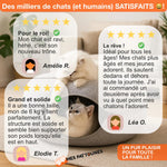 Cachette Donut pour Chat – Lit & Aire de Jeu en Feutre, Confort et Design