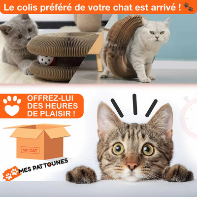 Le Griffoir Nouvelle Génération – Stimulez son Instinct, Protégez votre Intérieur !