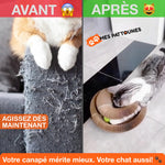 Le Griffoir Nouvelle Génération – Stimulez son Instinct, Protégez votre Intérieur !