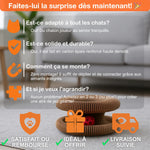 Le Griffoir Nouvelle Génération – Stimulez son Instinct, Protégez votre Intérieur !