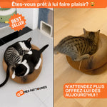 Le Griffoir Nouvelle Génération – Stimulez son Instinct, Protégez votre Intérieur !